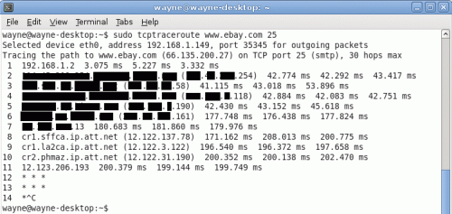 traceroute4_masked